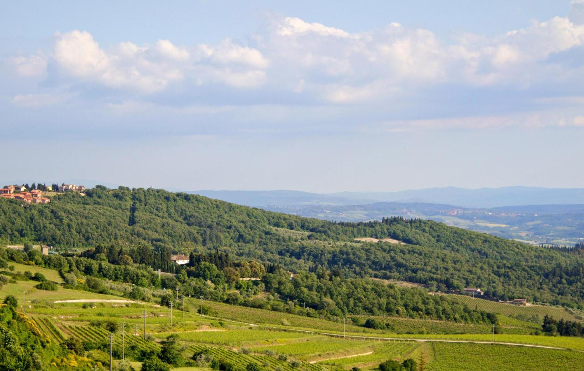 Galletto Nero Panzano in Chianti Εξωτερικό φωτογραφία
